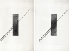 Ilusión Óptica, Desilusión Óptica, 2012, encre sur papier, Diptyque 22 x 31 cm (chacun), pièces uniques