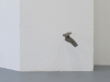 Fragment, 2012 - en cours, tiges en acier, débris archéologique (morceau de vase, de vaisselle), dimensions variables, pièces uniques. Photo © Emile Ouroumov