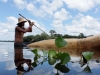 À Tarapoto, un Manati 1. The Travel, 201,1 video installation HD, color, sound, 18’38’’, edition of 5 + 2 AP. Multimedia Prize of the Fondations des Beaux Arts 2011. Loop Award 2014. Collection Fonds Régional d’Art Contemporain PACA, France