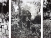 Estenopeicas rurales, Family Rincon - San Luis De Ocoa, 2015, tryptich, pinehole camera photographies, black and white, 42 x 52 x 3 cm with frame each piece, edition of 5 + 2 AP