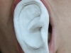 oreille_15x10