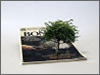 Souvenir of somewhere (tree), 2013, second-hand magazines, variable dimensions, unique piece