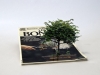 Souvenir of somewhere (tree), 2013, magazines de seconde main, table, 90 x 400 x 90 cm, pièces uniques