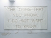 The thing (the thing that you know, I do not want to know), 2014, toile, corde, dimensions variables, pièce unique, performance publique