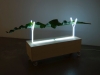 Neon, 2016, néon, plantes, contreplaqué 3 mm, roulettes en uréthane, 30 x 120 x 60 cm, pièces uniques