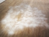 The Silbaram: a light breeze comes again, 2011, audience’s footstep, bone powder obtained at a crematory, variable dimensions