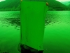 Green Wall, 2012, algues sur cotton, 434 x 231 cm