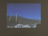Fleur Noguera, Devonian Levels, 2010, image extraite du film, couleur, muet, 6′, édition de 5, Courtesy galerie Dohyang Lee