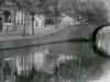 Swim, 2011 (modified in 2015), video, black and white, 1’, edition of 5 + 2 AP