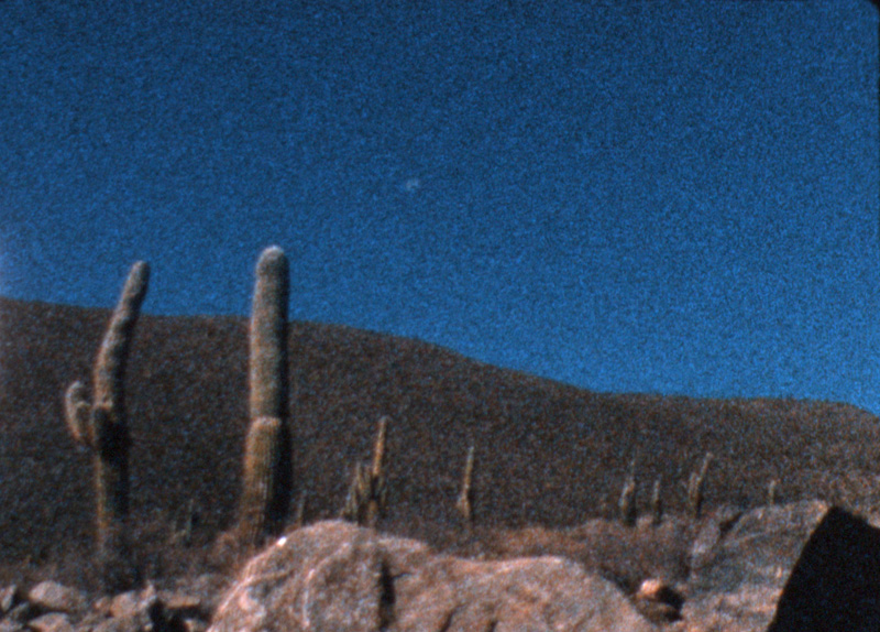 Fleur Noguera, 2011, Devonian Levels, film super 8, couleur, muet, 6′, édition de 3 (bobines de 30 minutes)film super 8, couleur, muet, édition de 3