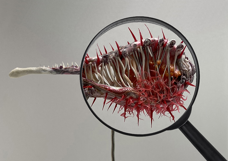 micromegas_image_siteweb