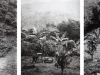 Estenopeicas rurales, Famille Barretto Bonilla - San Luis De Ocoa, 2015, tryptique, photographies sténopées, noir et blanc, 42 x 52 x 3 cm avec cadre chaque pièce, édition de 5 + 2 EA